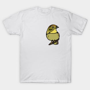 Orange Crowned Warbler Graphic T-Shirt